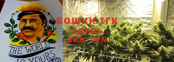 дживик Баксан