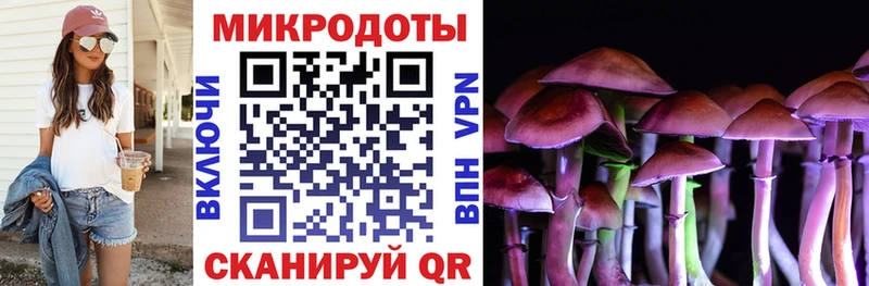 Псилоцибиновые грибы Psilocybine cubensis  Сим 